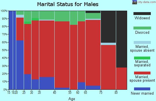 Lower Rutherford Creek marital status for males