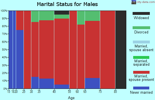 Elsmere marital status for males