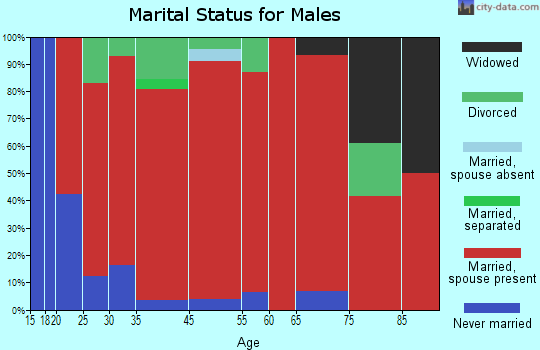 New River marital status for males