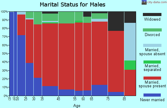 Palmyra-Shiloh marital status for males