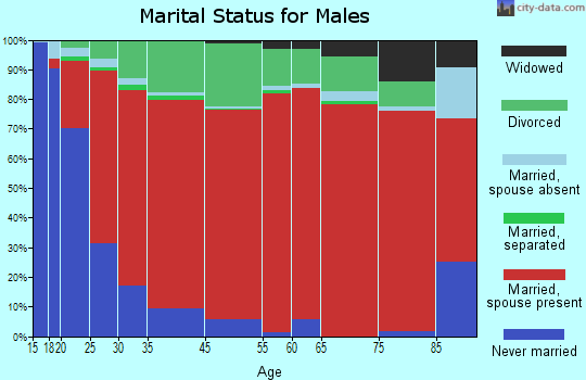 Rheatown-Chucky marital status for males