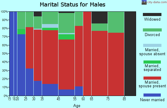 Rock Creek marital status for males