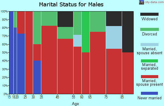 Siloam marital status for males