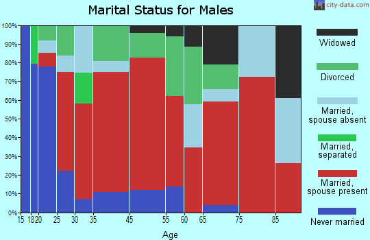 Sulphur Springs marital status for males