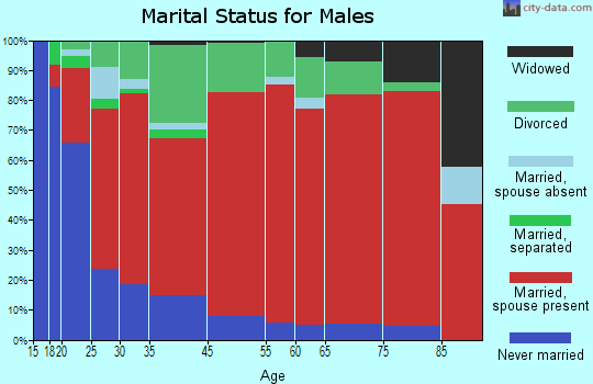 Summertown marital status for males