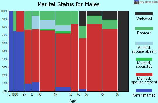 Tennessee City marital status for males