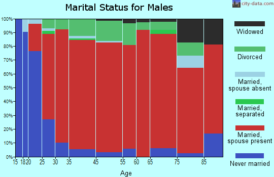 Turtletown marital status for males