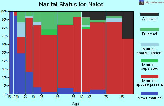 Welchland marital status for males