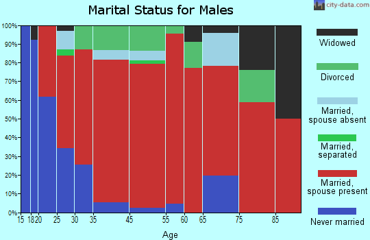 Grand Valley marital status for males