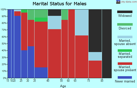 Adamsville marital status for males