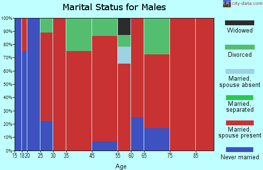 Angleton-Rosharon marital status for males