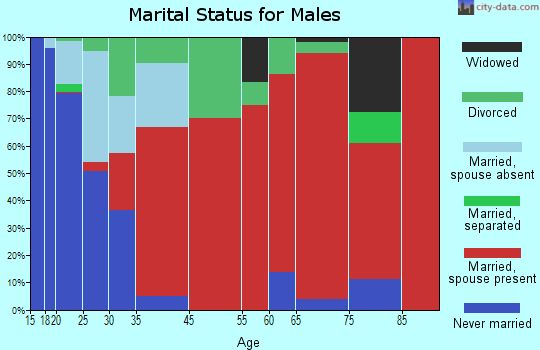 Apple Springs marital status for males