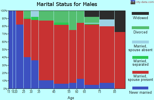 Brazosport marital status for males