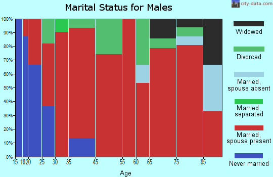 Briggs marital status for males