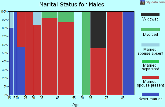 Burkeville marital status for males