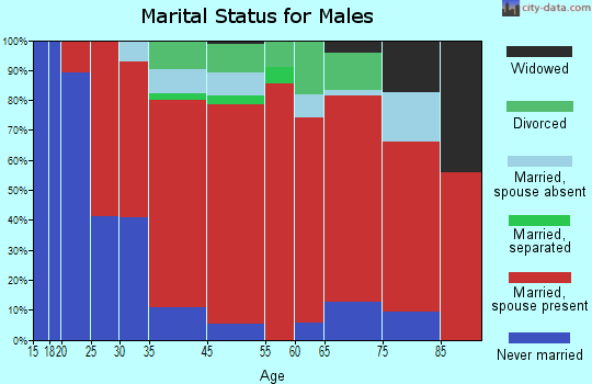 China Spring marital status for males