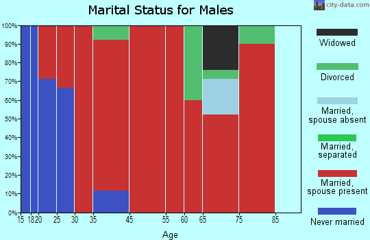 Chireno-Martinsville marital status for males
