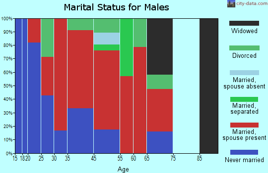 Northeast Jefferson marital status for males