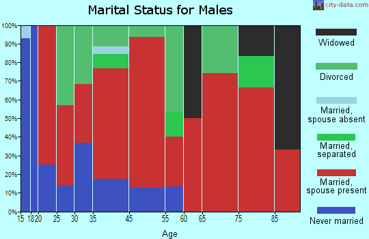 Livingston-New Willard marital status for males