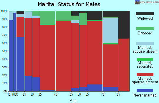 Manchester marital status for males