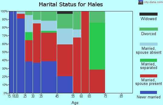 Pleasant View marital status for males