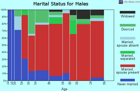 Midland Rural marital status for males