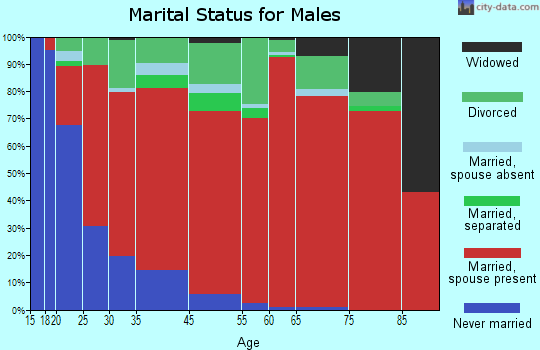 Morgan Mill-Bluff Dale marital status for males