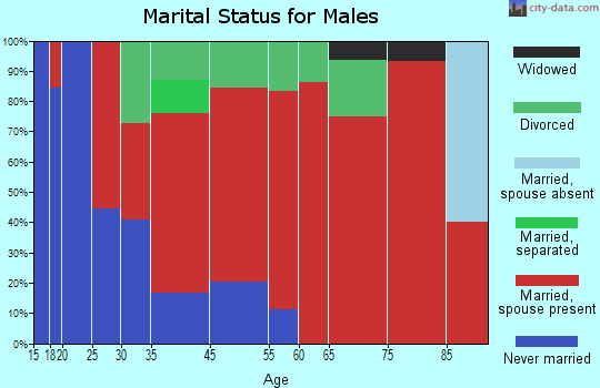 Northeast Brazos marital status for males