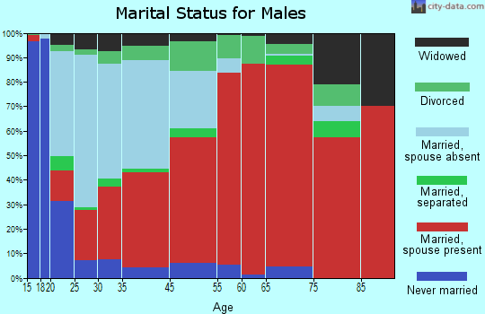 Palo Pinto-Santo marital status for males