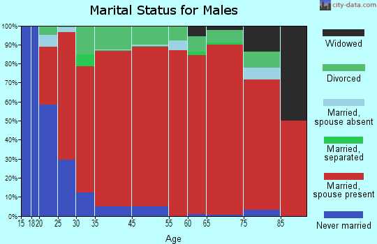 San Ygnacio marital status for males