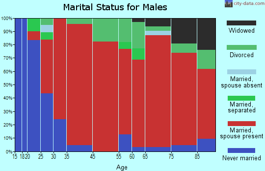 Southeast Hidalgo marital status for males