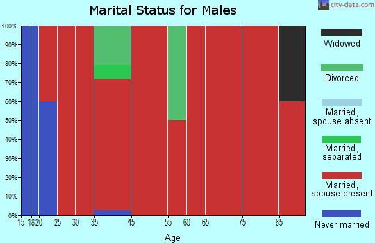 South Rockwall marital status for males
