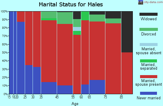 Somerset marital status for males