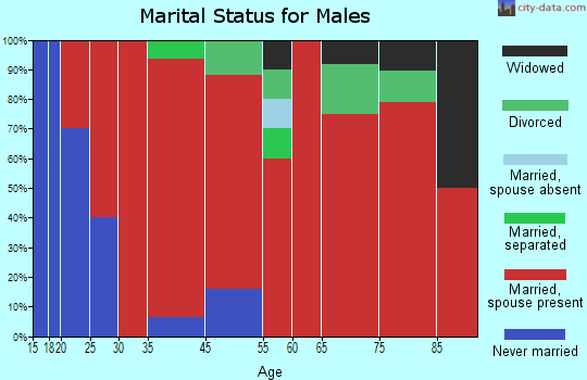 South Aurora marital status for males