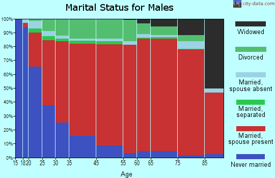 Tidehaven marital status for males