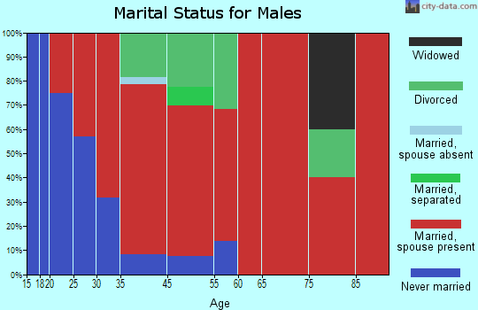 South Jefferson marital status for males