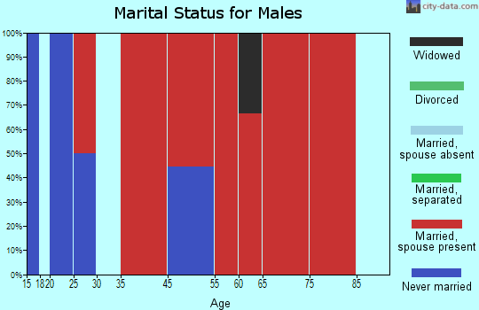 Turnersville marital status for males