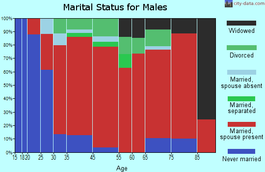 Van Horn Rural marital status for males