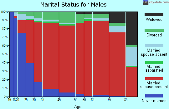 West Bexar marital status for males