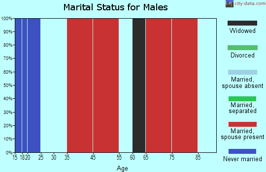 Beryl-Newcastle marital status for males