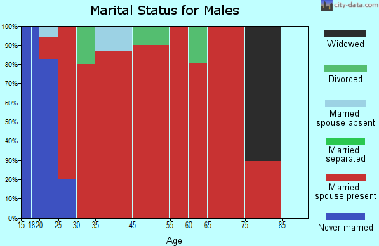 Bingham marital status for males