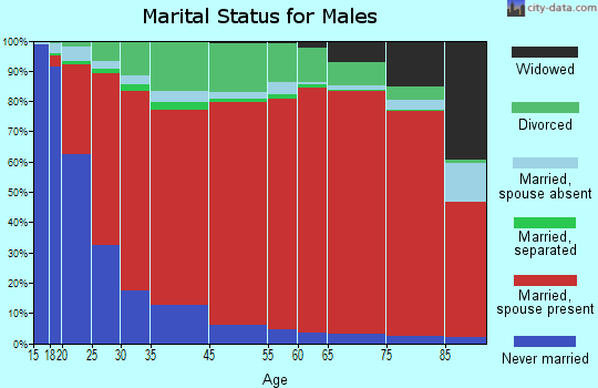 West Box Elder marital status for males