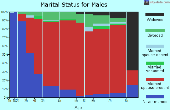Andover marital status for males