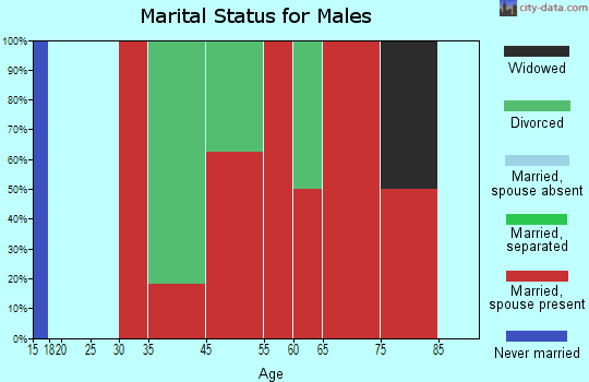 Bristol marital status for males