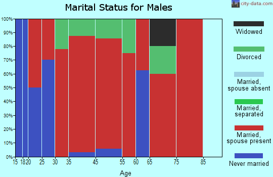 Charleston marital status for males