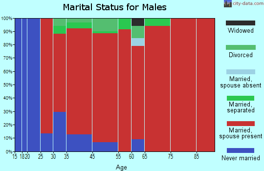 Dorset marital status for males