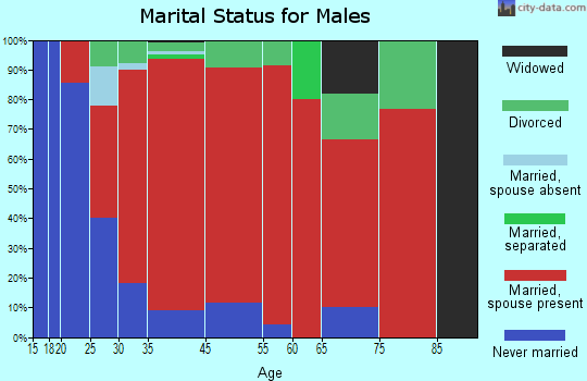 Elmore marital status for males