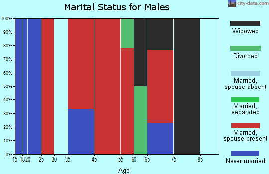 Georgia marital status for males