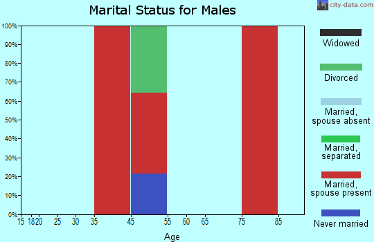 Grafton marital status for males
