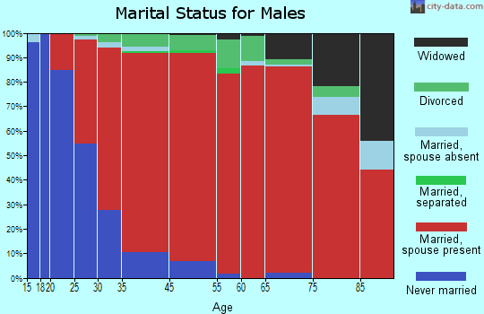 Berlin marital status for males